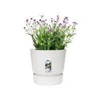 Elho Greenville bloempot 14 cm wit - afbeelding 3