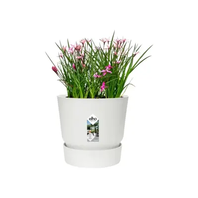 Elho Greenville bloempot 16 cm wit - afbeelding 3