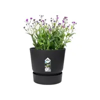 Elho Greenville bloempot 20 cm living black - afbeelding 3