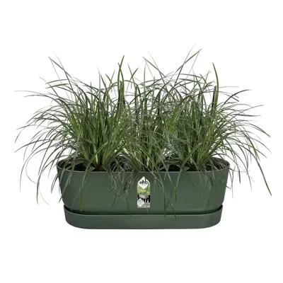 Elho greenville easy balcony 52 cm Bladgroen - afbeelding 3