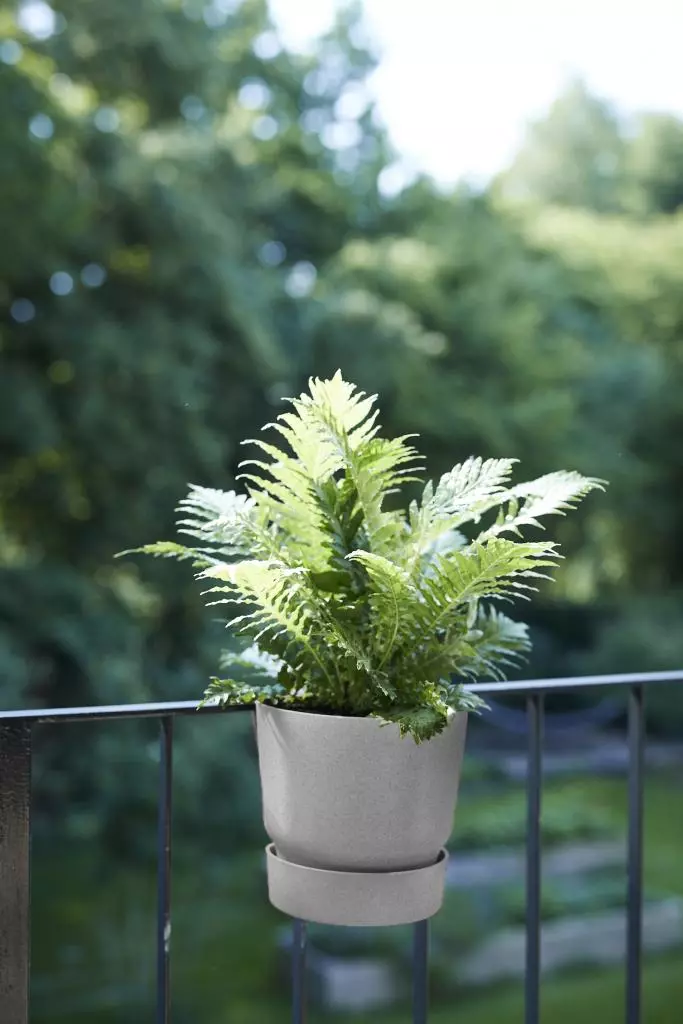 Plantenverhoger