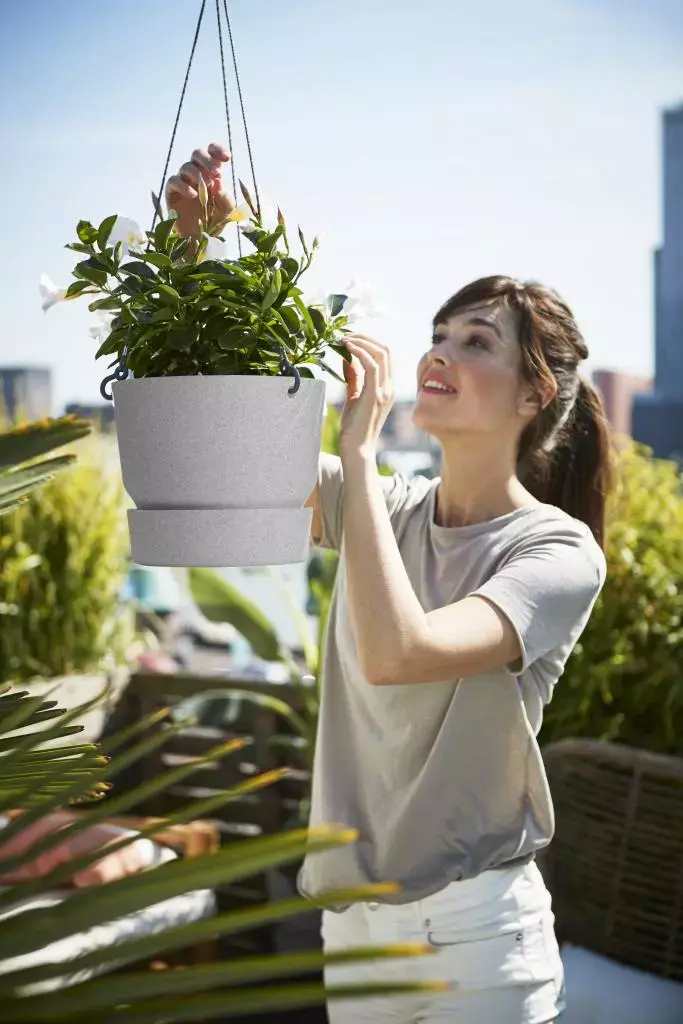 Buitenlander Reserve Krijgsgevangene Elho Greenville hangschaal kunststof 24 cm living concrete kopen? -  tuincentrum Osdorp :)