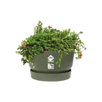 Elho Greenville schaal 33 cm bladgroen - afbeelding 4