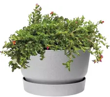 Elho Greenville schaal 33 cm living concrete - afbeelding 3