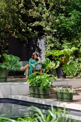 Elho Greenville terrace Trough kunststof bloembak 60 blad groen - afbeelding 6