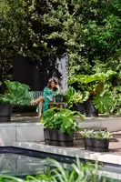 Elho Greenville terrace Trough kunststof bloembak 60 living black - afbeelding 6