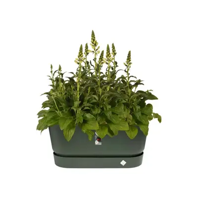 Elho Greenville terrace Trough kunststof bloembak 80 blad groen - afbeelding 4