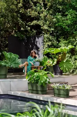 Elho Greenville terrace Trough kunststof bloembak 80 blad groen - afbeelding 6
