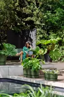 Elho Greenville terrace Trough kunststof bloembak 80 blad groen - afbeelding 6