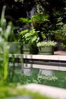 Elho Greenville terrace Trough kunststof bloembak 80 blad groen - afbeelding 7