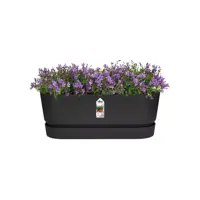 Elho Greenville Trough Long kunststof bloembak 50 cm living black - afbeelding 5