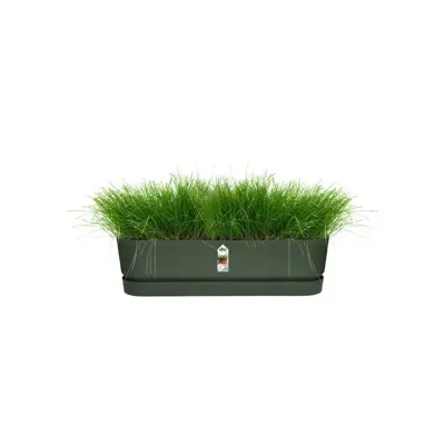 Elho Greenville Trough Long kunststof bloembak 70 cm blad groen - afbeelding 2