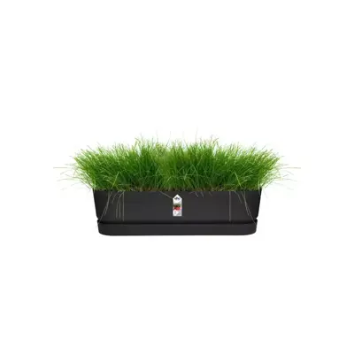 Elho Greenville Trough Long kunststof bloembak 70 cm living black - afbeelding 4