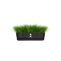 Elho Greenville Trough Long kunststof bloembak 70 cm living black - afbeelding 4