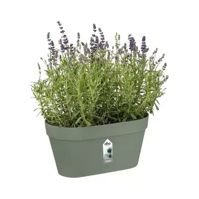 Elho hangpot Loft urban wall duo 28cm pistache groen - afbeelding 2