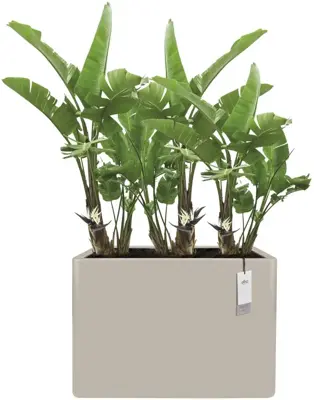 Elho June Brick Divider 80 - Beige - L 79 x B 29 x H 59 cm - Binnen en Buiten - 100% gerecycled - afbeelding 2
