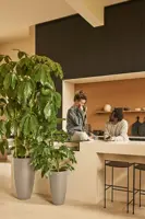 Elho June Round High 40 - Beige - Ø 39 x H 70 cm - Binnen en Buiten - 100% gerecycled - afbeelding 5