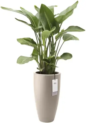 Elho June Round High 40 - Beige - Ø 39 x H 70 cm - Binnen en Buiten - 100% gerecycled - afbeelding 2