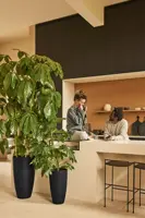 Elho June Round High 40 - Zwart - Ø 39 x H 70 cm - Binnen en Buiten - 100% gerecycled - afbeelding 3