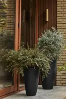 Elho June Round High 40 - Zwart - Ø 39 x H 70 cm - Binnen en Buiten - 100% gerecycled - afbeelding 4