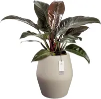 Elho June Split High 46 - Beige - Ø 46 x H 53 cm - Binnen en Buiten - 100% gerecycled - afbeelding 2