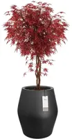 Elho June Split High 46 - Zwart - Ø 46 x H 53 cm - Binnen en Buiten - 100% gerecycled - afbeelding 2