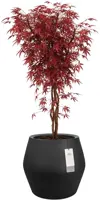 Elho June Split Low 46 - Zwart - Ø 46 x H 42 cm - Binnen en Buiten - 100% gerecycled - afbeelding 2