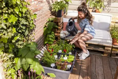 Elho Kweekbak green basics L living black - afbeelding 7