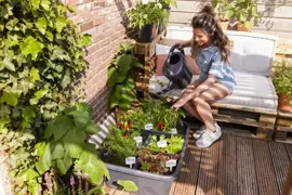 Elho Kweekbak green basics L living black - afbeelding 7