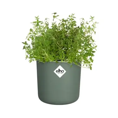Elho Kweekpot Happy Herbs 15cm Blad Groen - afbeelding 6
