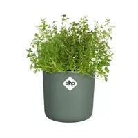 Elho Kweekpot Happy Herbs 15cm Blad Groen - afbeelding 6