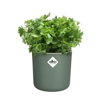 Elho Kweekpot Happy Herbs 15cm Blad Groen - afbeelding 7