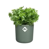 Elho Kweekpot Happy Herbs 15cm Blad Groen - afbeelding 7