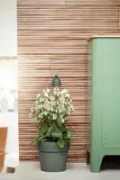 Elho Leaf light care blad groen - afbeelding 13