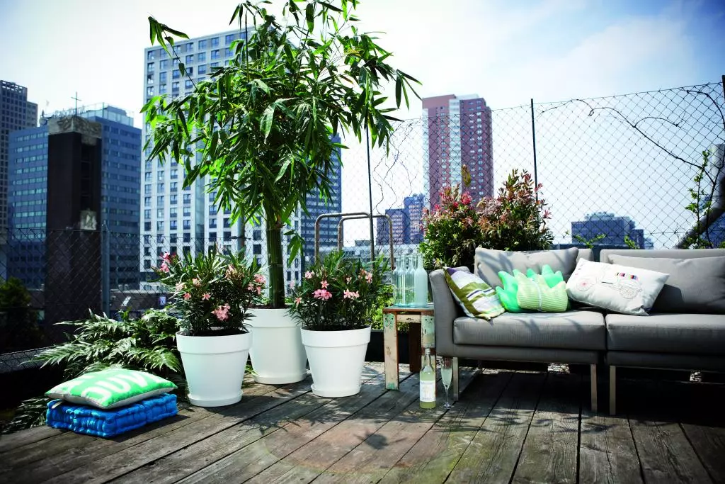 gouden Andrew Halliday Wegrijden Elho loft urban rond weels bloempot 50 cm wit kopen? - tuincentrum Osdorp :)