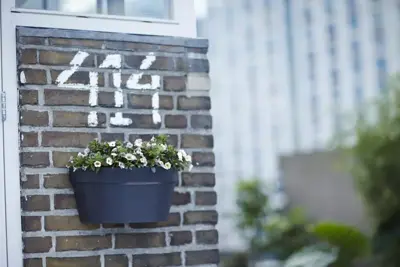 Elho loft urban wandbak 40 cm antraciet - afbeelding 4