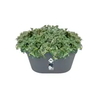 Elho loft urban wandbak 40 cm antraciet - afbeelding 2