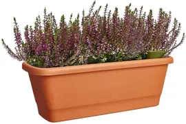 Elho Noa balkonbak M 52cm terra - afbeelding 6