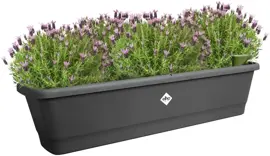 Elho Noa balkonbak XL 80cm living black - afbeelding 6