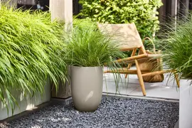 elho plantenbak sereh hoog d30 h41cm Paddenstoel beige - afbeelding 4