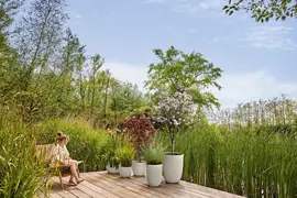 elho plantenbak sereh hoog d30 h41cm Paddenstoel beige - afbeelding 5