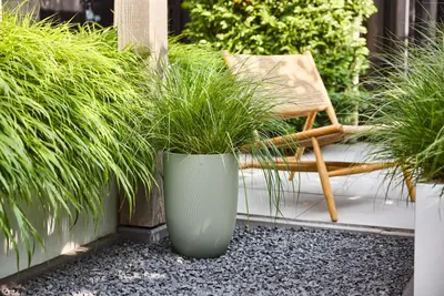 elho plantenbak sereh hoog d30 h41cm Scandinavisch groen - afbeelding 5