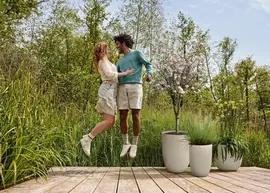 elho plantenbak sereh hoog d40 h53cm Paddenstoel beige - afbeelding 4