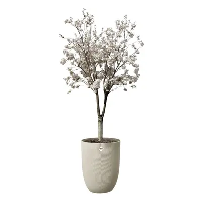 elho plantenbak sereh hoog d40 h53cm Paddenstoel beige - afbeelding 2