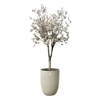 elho plantenbak sereh hoog d40 h53cm Paddenstoel beige - afbeelding 2
