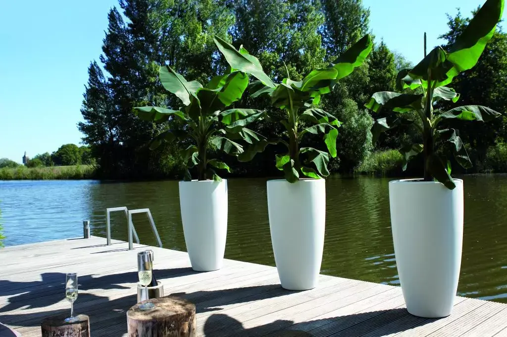 Ambient onderwijs Ga wandelen Elho pure soft bloempot rond hoog 35 cm wit kopen? - tuincentrum Osdorp :) Ambient onderwijs Ga wandelen Elho pure soft bloempot rond hoog 35 cm wit kopen? - tuincentrum Osdorp :)