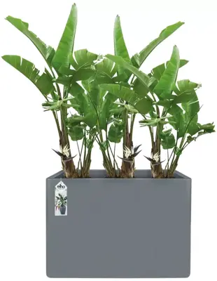 Elho pure soft brick divider large plantenbak met wielen concrete - afbeelding 2