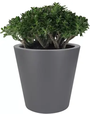 Elho pure straight bloempot rond 50 cm antraciet - afbeelding 2