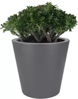 Elho pure straight bloempot rond 50 cm antraciet - afbeelding 2