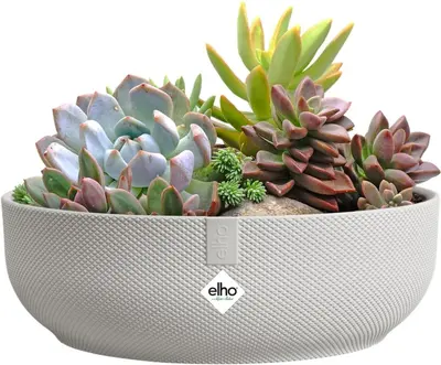 Elho Schaal Jazz Ø28cm Zijdewit - afbeelding 5